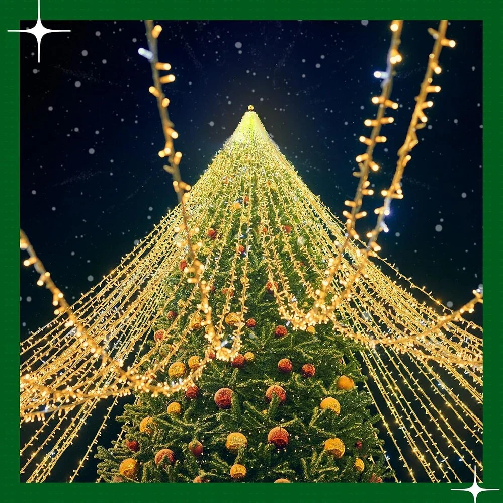 Christmas Tree Flagpole Topper Light Hook 20 Hooks Outdoor Holiday Lights